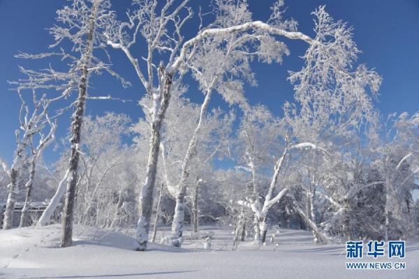 雪乡国家森林公园冬日美景 雪乡国家森林公园冬日美景