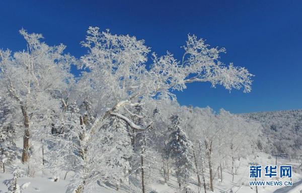 雪乡国家森林公园冬日美景 雪乡国家森林公园冬日美景