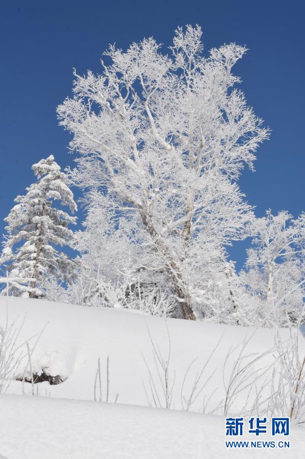 雪乡国家森林公园冬日美景 雪乡国家森林公园冬日美景