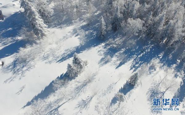 雪乡国家森林公园冬日美景 雪乡国家森林公园冬日美景