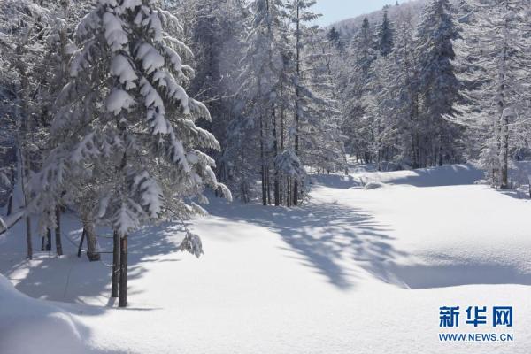 雪乡国家森林公园冬日美景 雪乡国家森林公园冬日美景