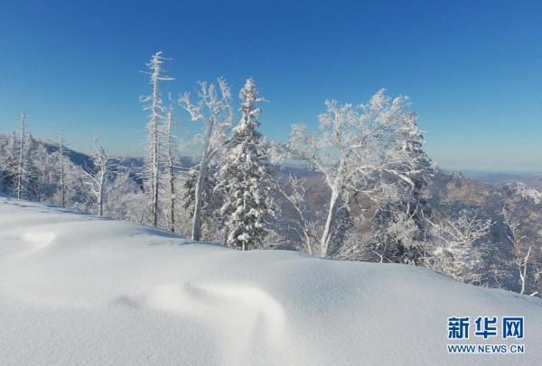 雪乡国家森林公园冬日美景 雪乡国家森林公园冬日美景