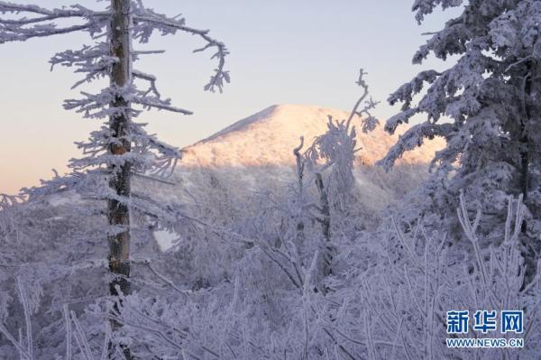 雪乡国家森林公园冬日美景 雪乡国家森林公园冬日美景