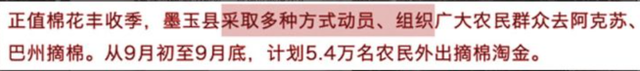 无耻！BCI负责人竟称新疆扶贫是“强迫劳动”：哪怕拿到合理工资