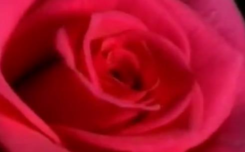 《你的柔情我永远不懂》陈琳